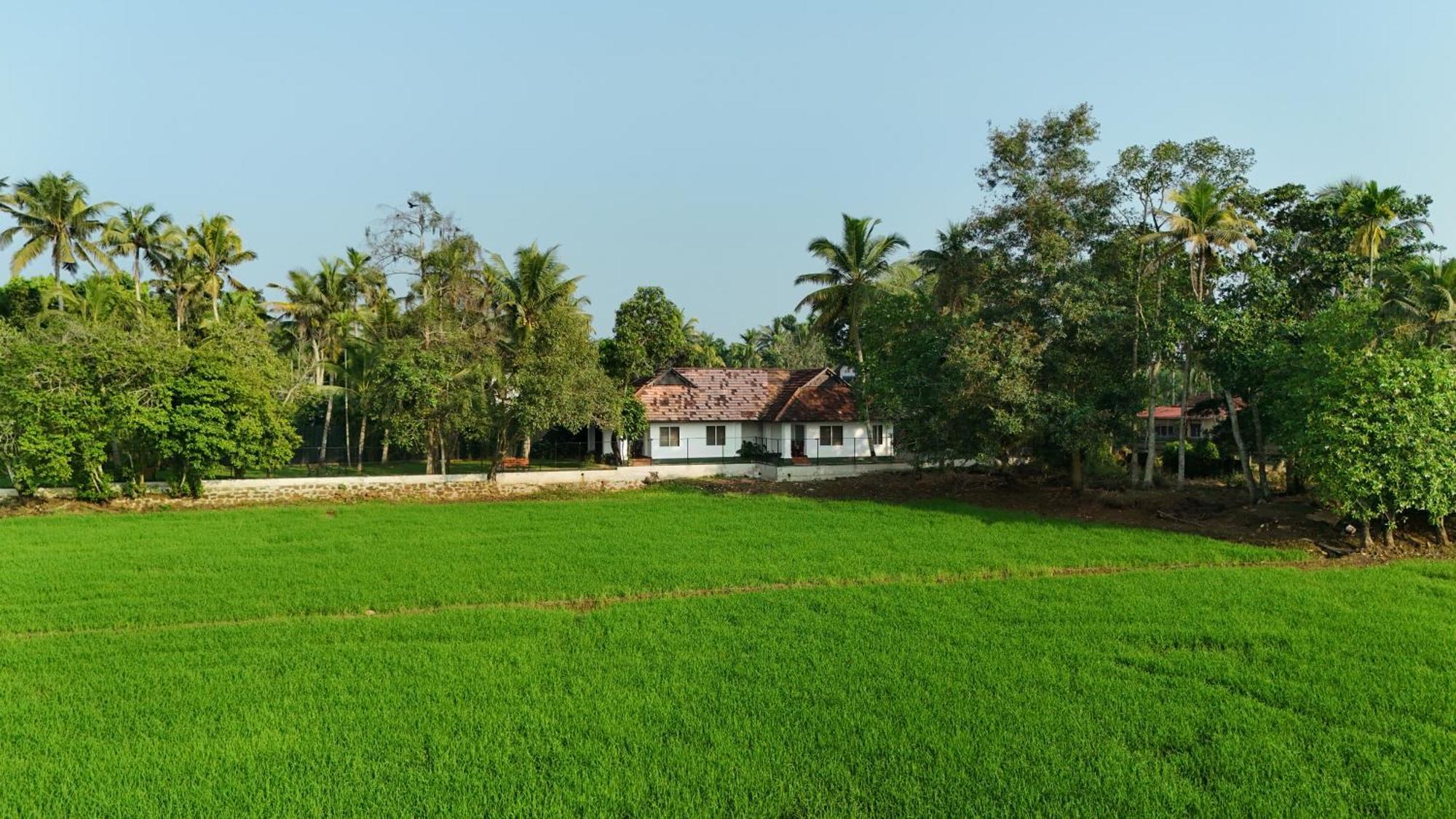 Paadam By The Backwaters Kumarakom Exterior foto